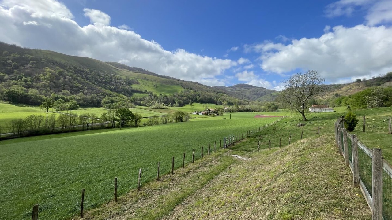 Photo of Others in Ibarrolle