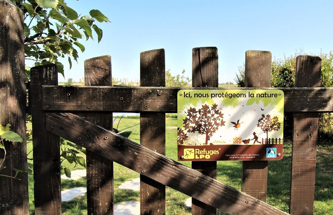 Photo of Outdoor in Echalas