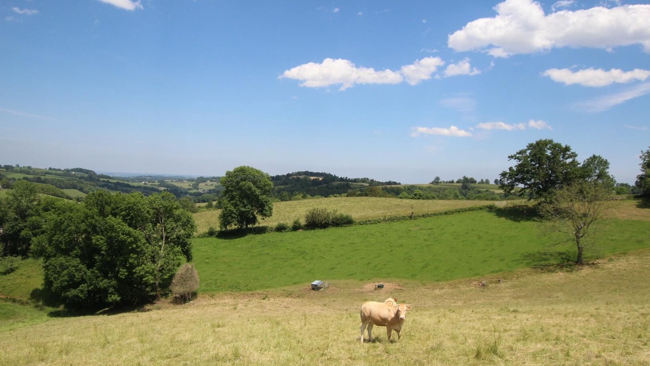 Photo of Outdoor in Sainte-Colome