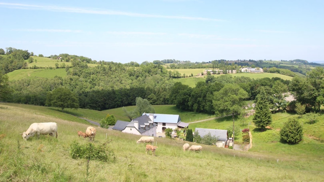 Photo of Outdoor in Sainte-Colome