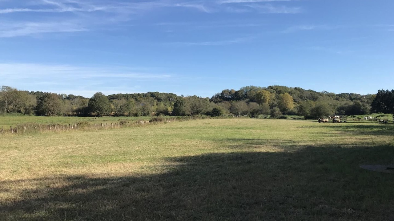 Photo of Others in Mouguerre