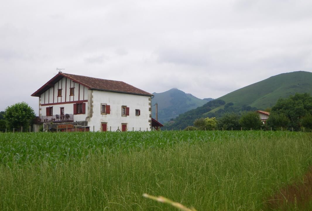 Photo of Outdoor in Sare