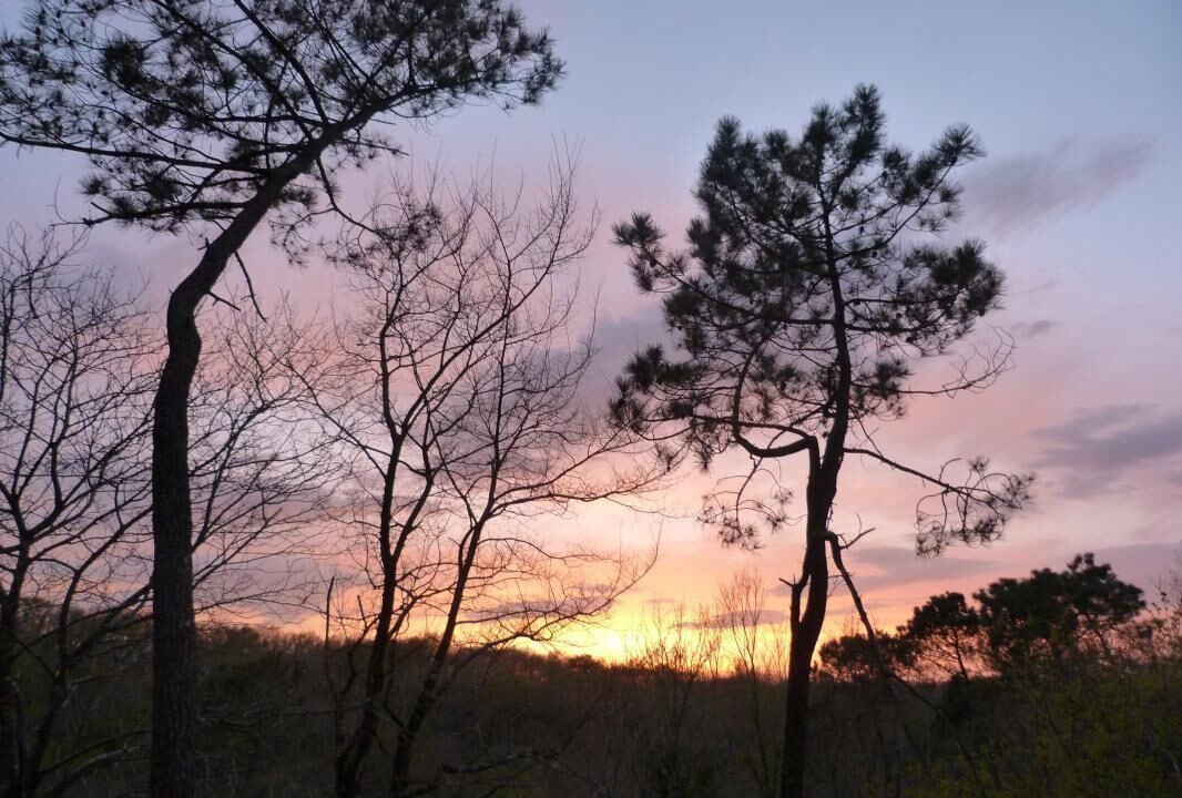 Photo of Outdoor in Lahonce