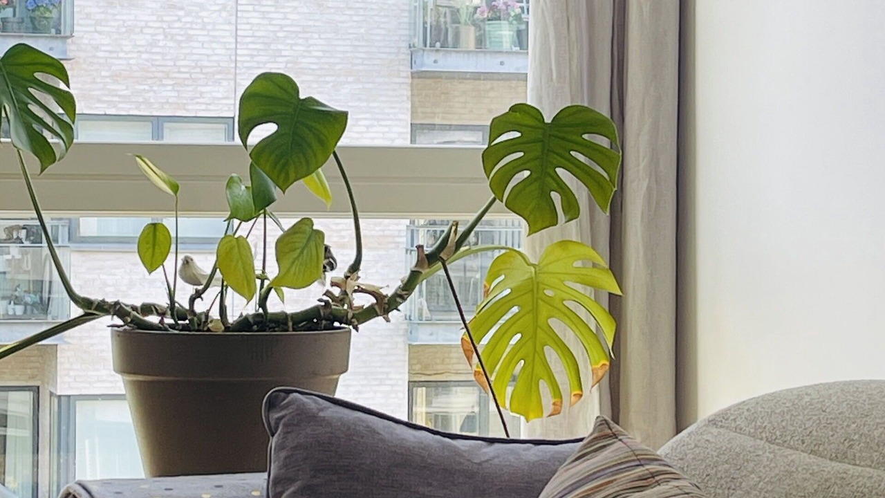 Photo of Bedroom in Amager