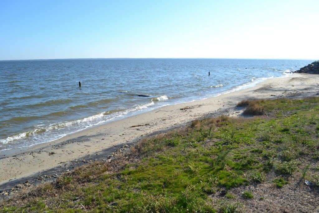 Photo of Others in Mount Holly