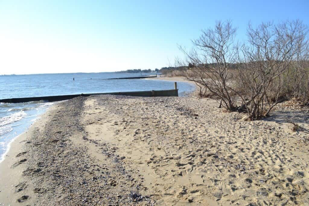 Photo of Others in Mount Holly