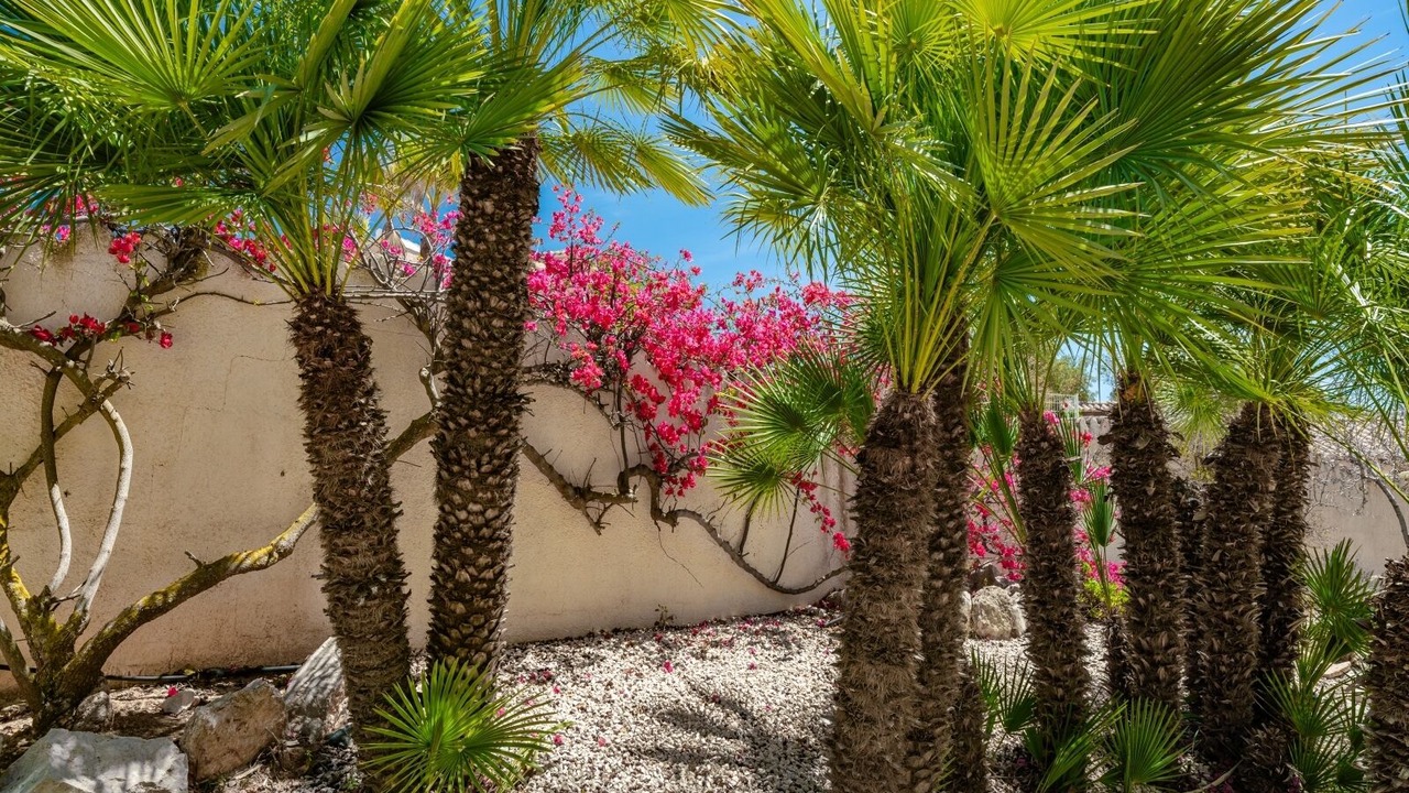 Photo of Outdoor in Cumbre del Sol