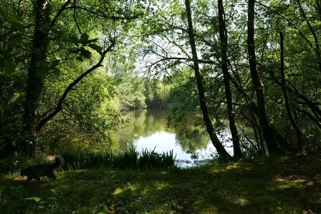 Photo of Outdoor in Plougonven