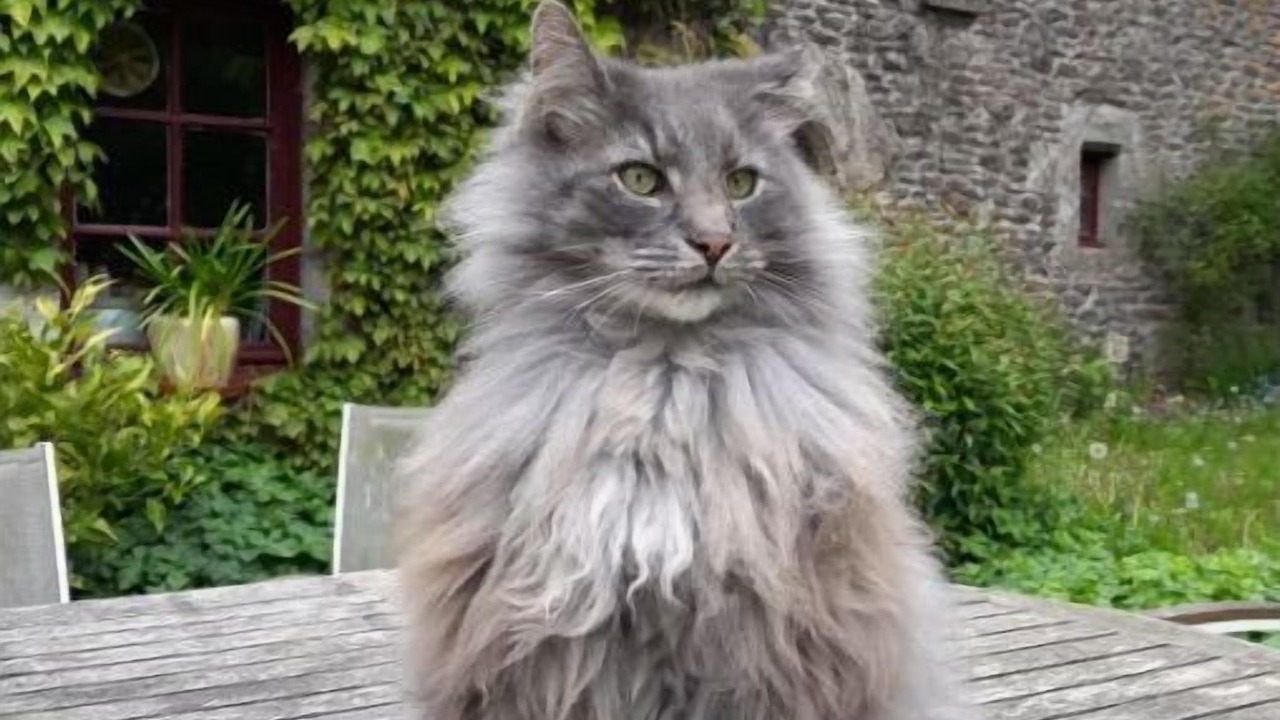 Photo of Outdoor in Plougonven