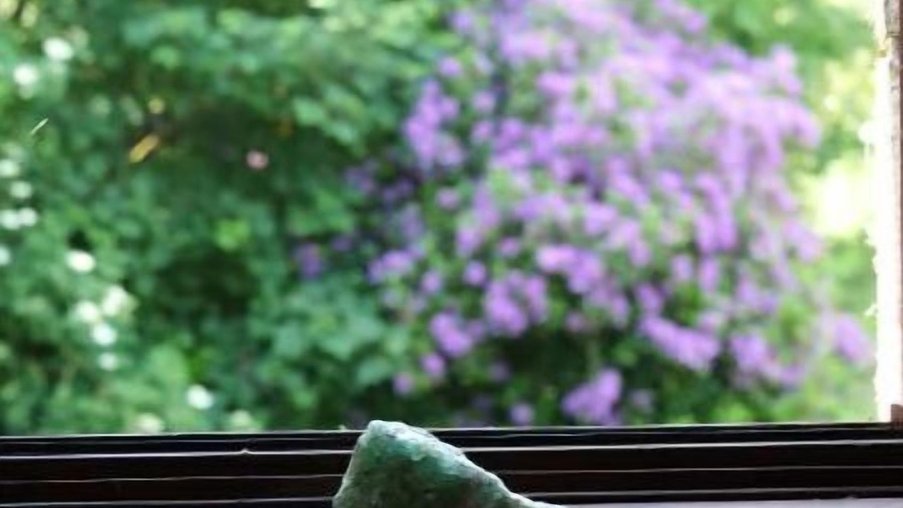 Photo of Others in Plougonven