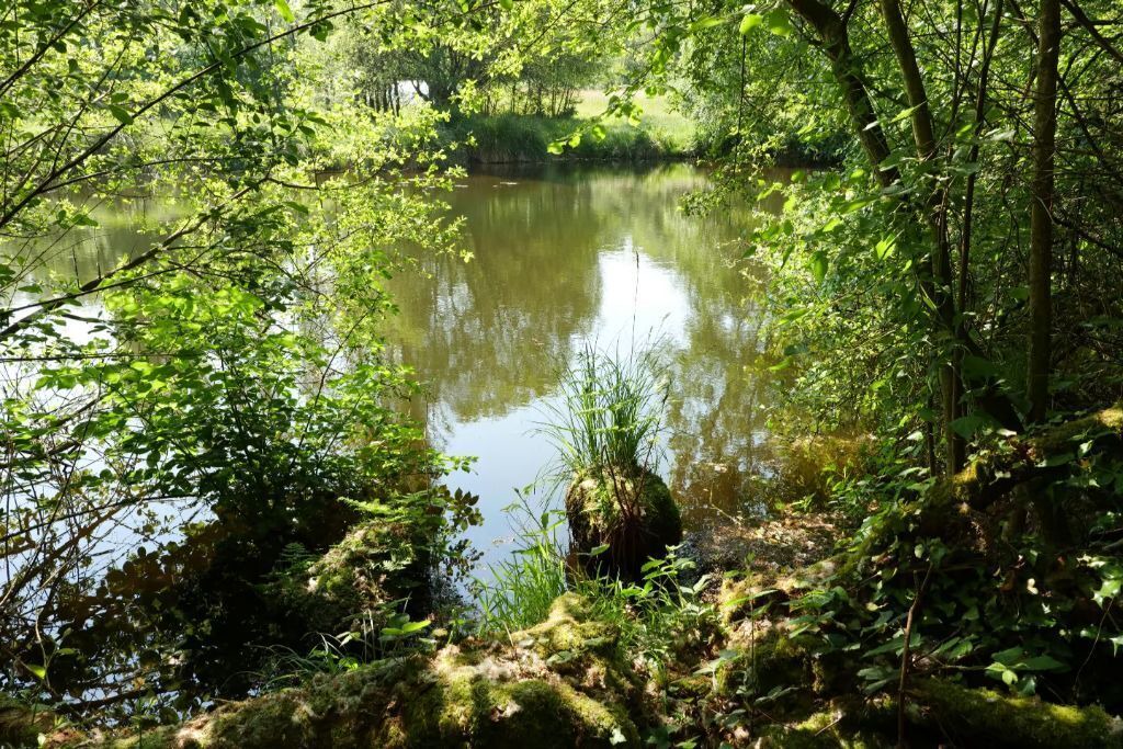 Photo of Outdoor in Plougonven