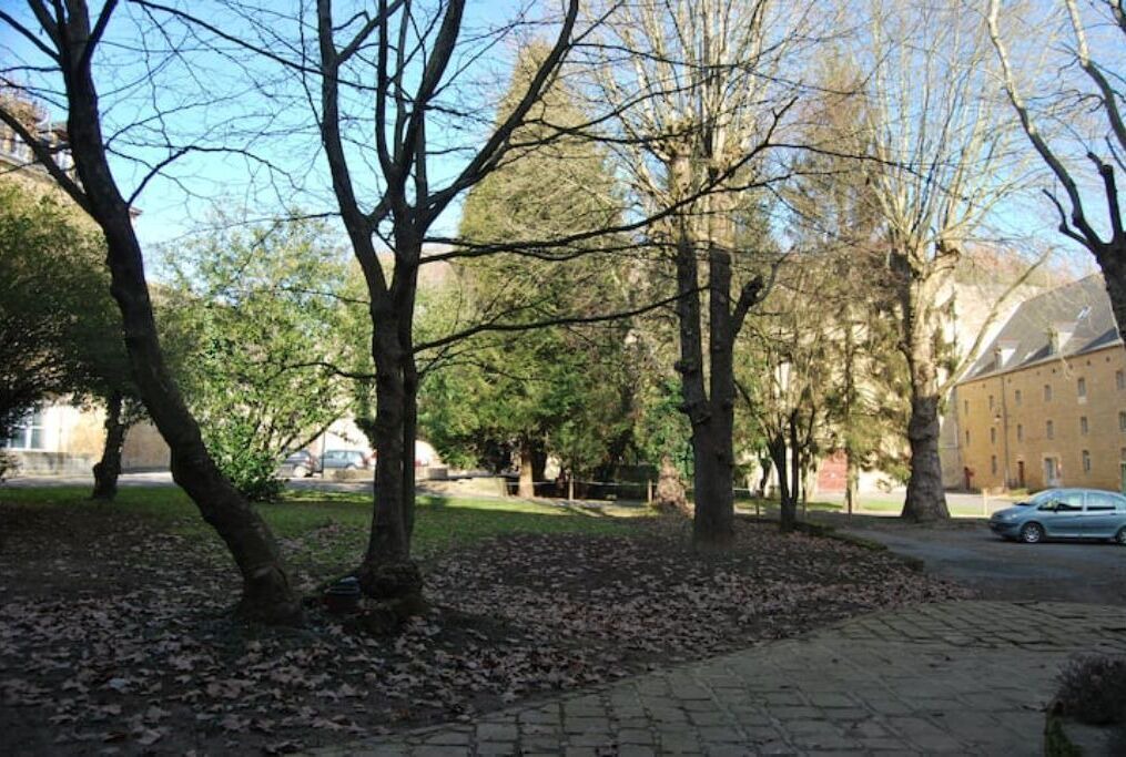 Photo of Outdoor in Sedan