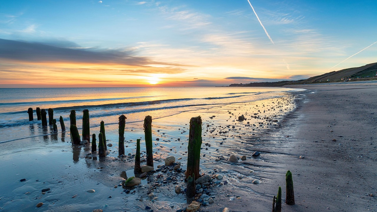 Photo of Others in Winestead