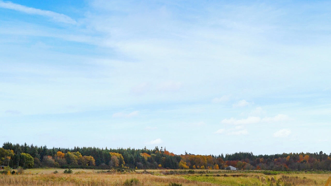 Photo of Others in Forres