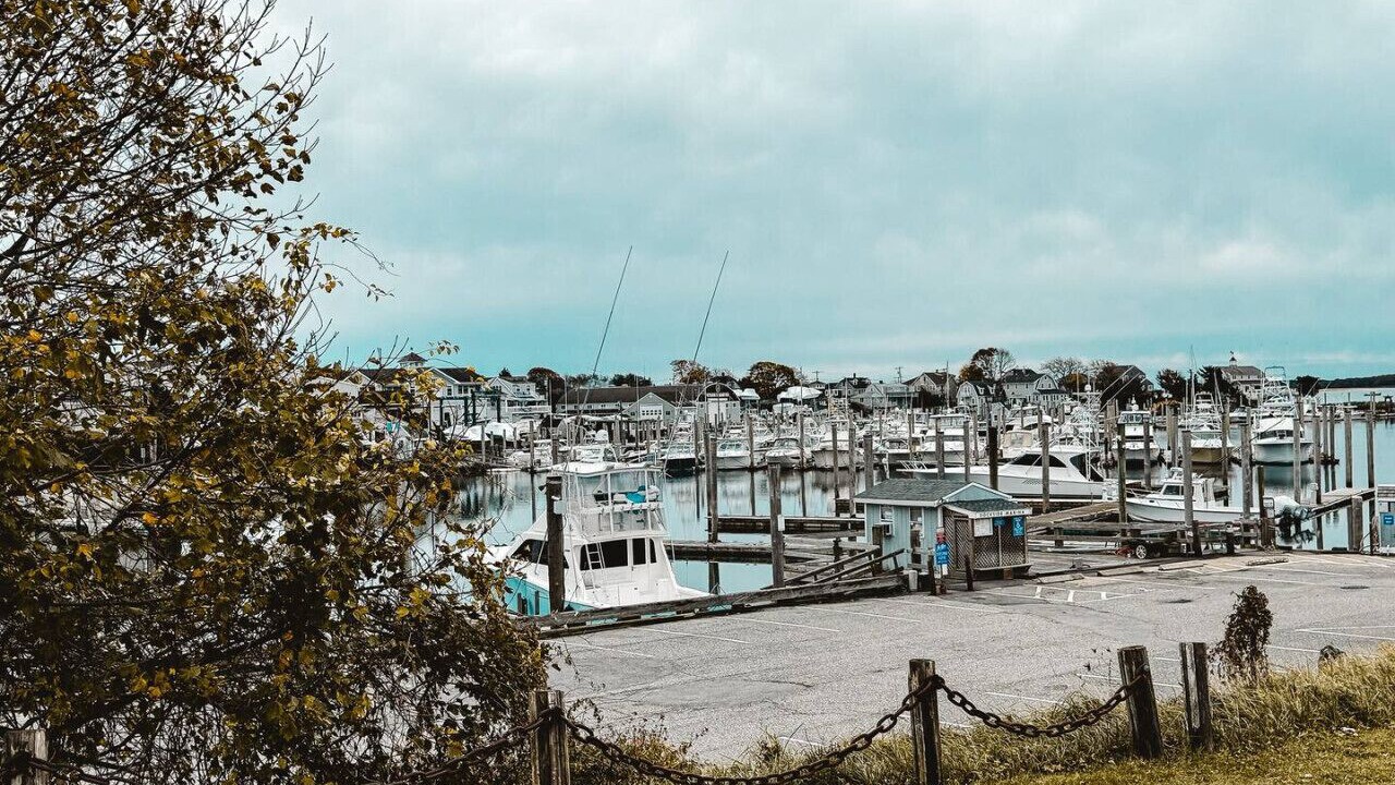 Photo of Others in Hyannis