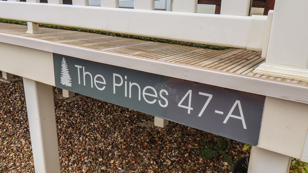 Photo of Outdoor in Cayton Bay