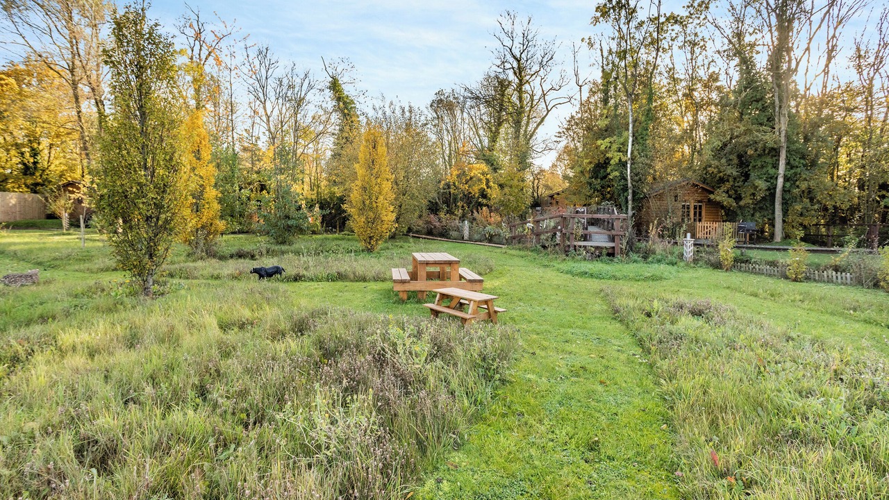 Photo of Outdoor in Newmarket