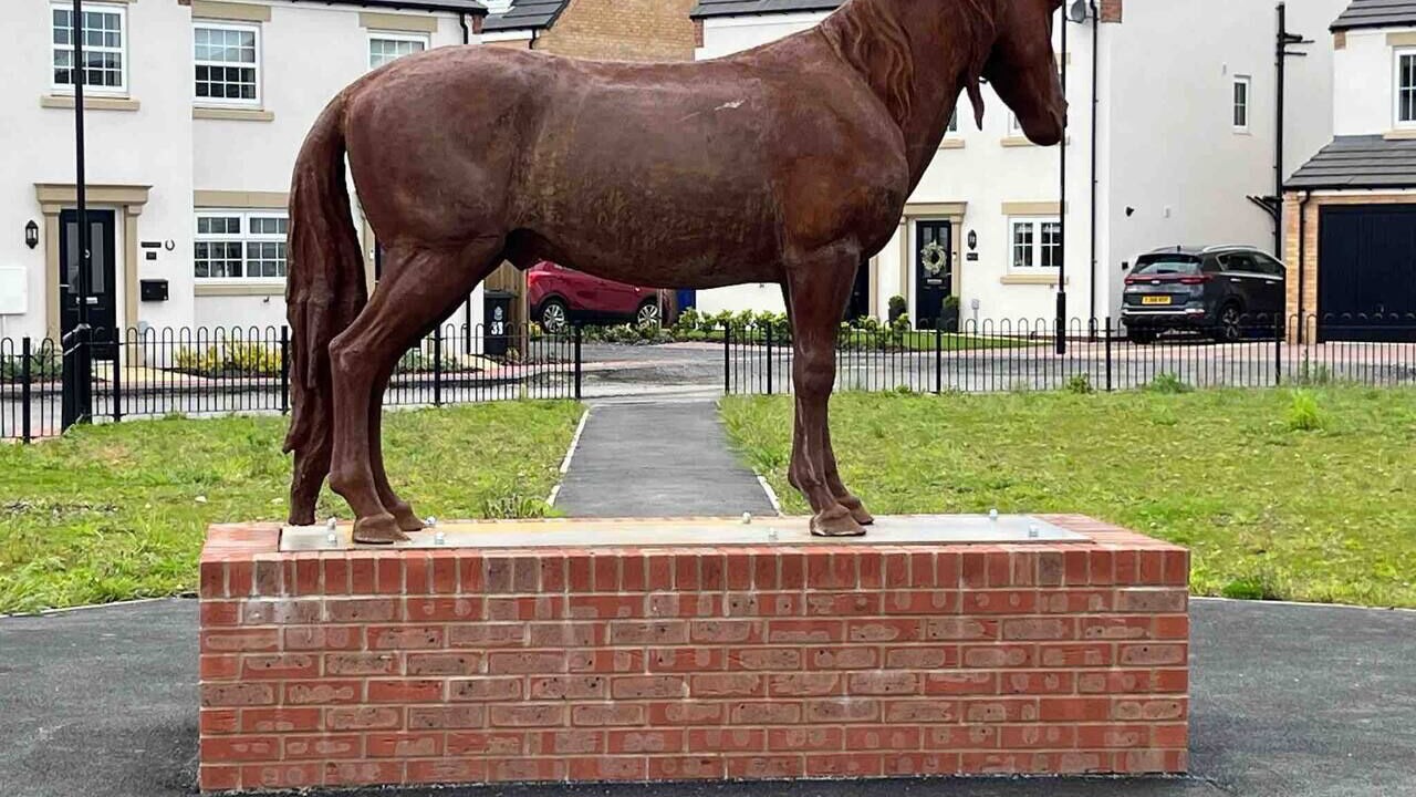 Photo of Others in Doncaster