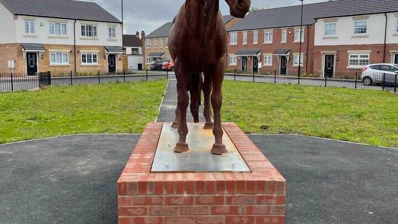 Photo of Others in Doncaster