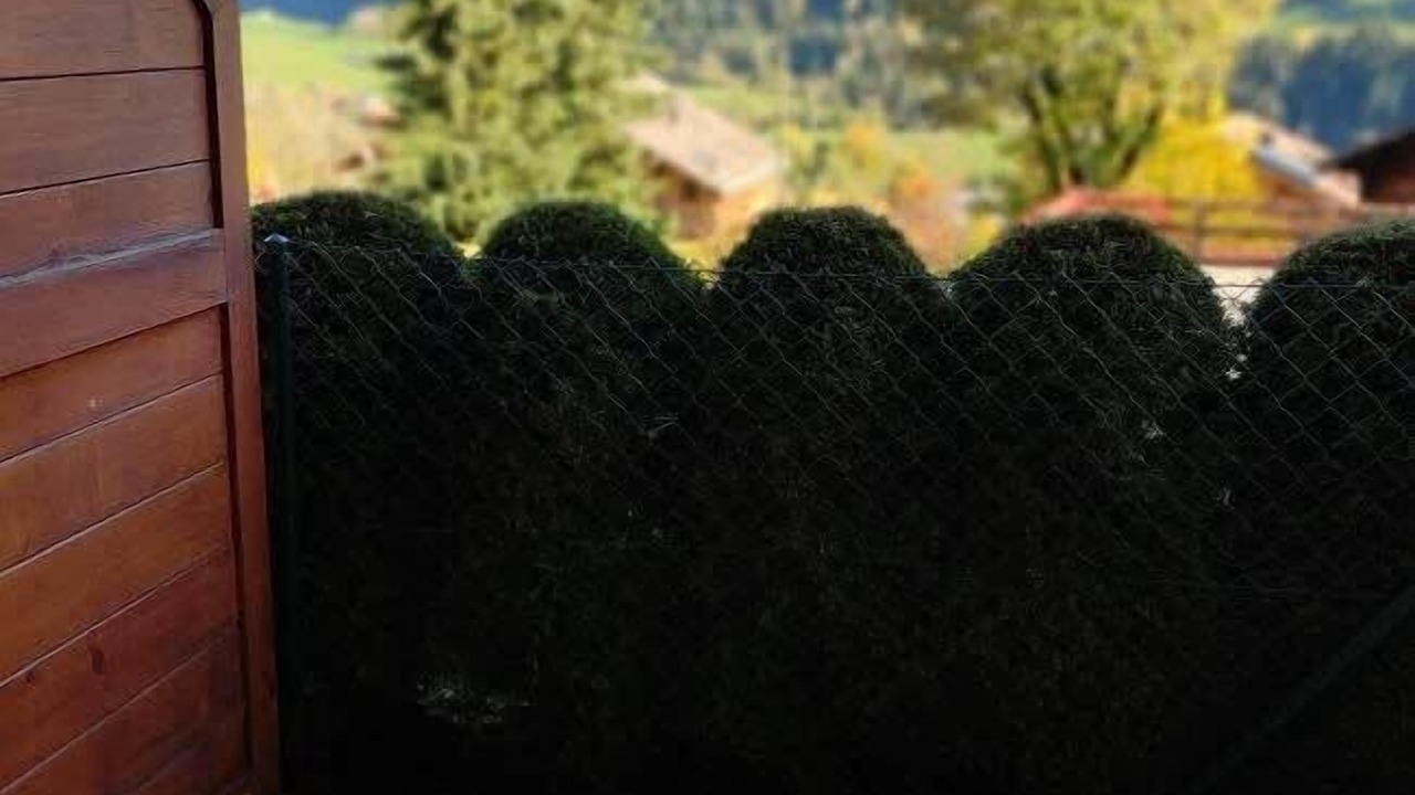 Photo of Outdoor in Chateau-d'Oex