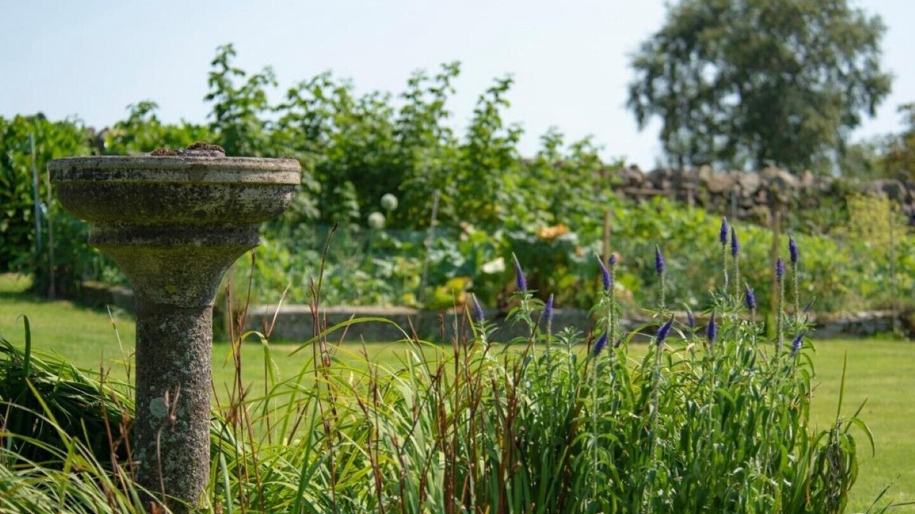 Photo of Outdoor in Welton