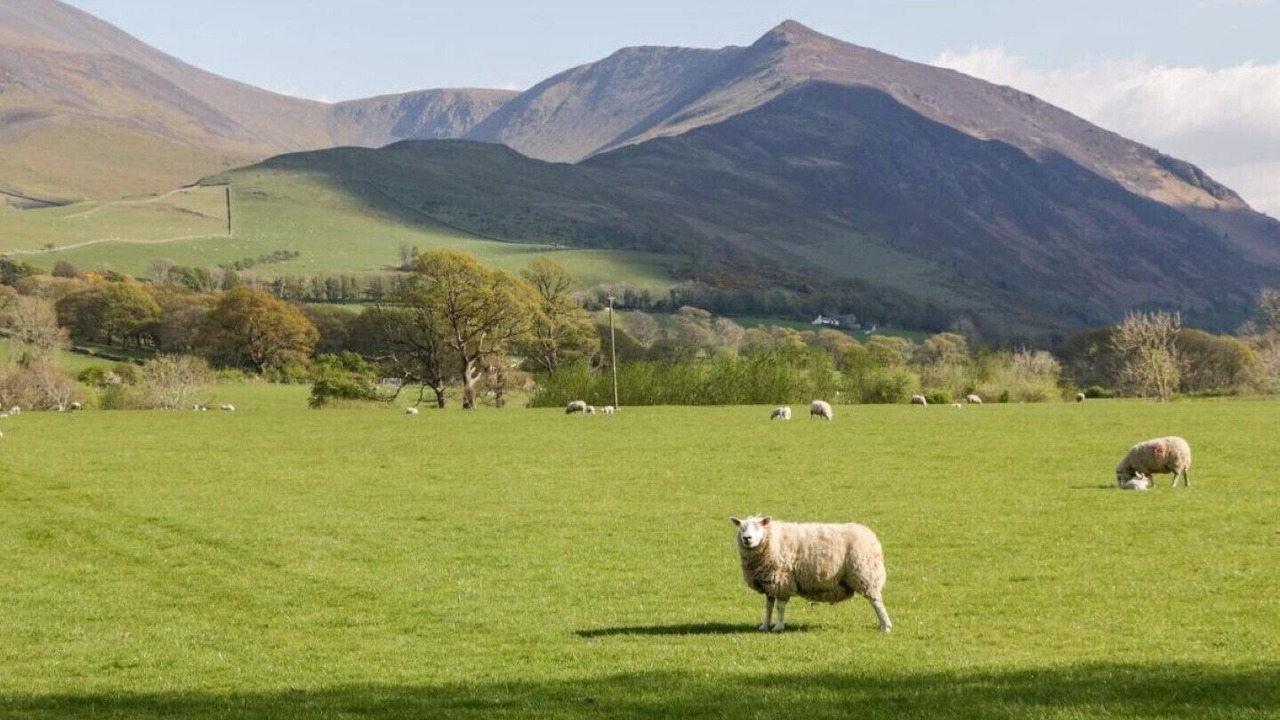 Photo of Others in Welton