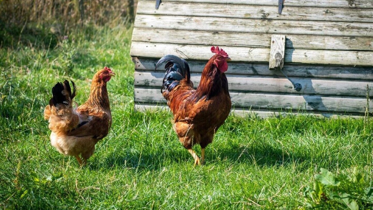 Photo of Others in Welton