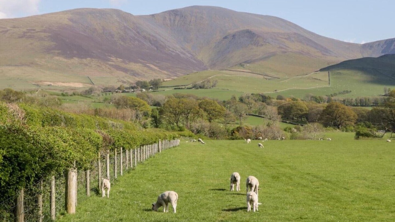 Photo of Others in Welton