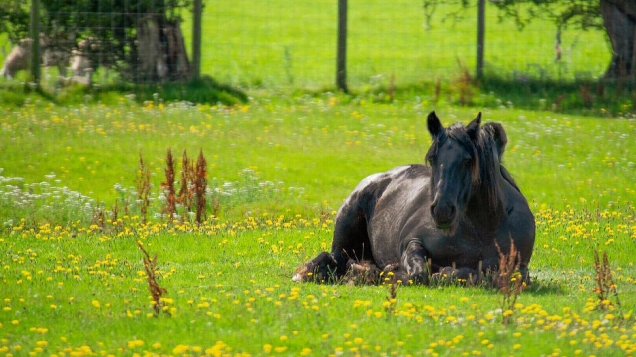 Photo of Outdoor in Welton