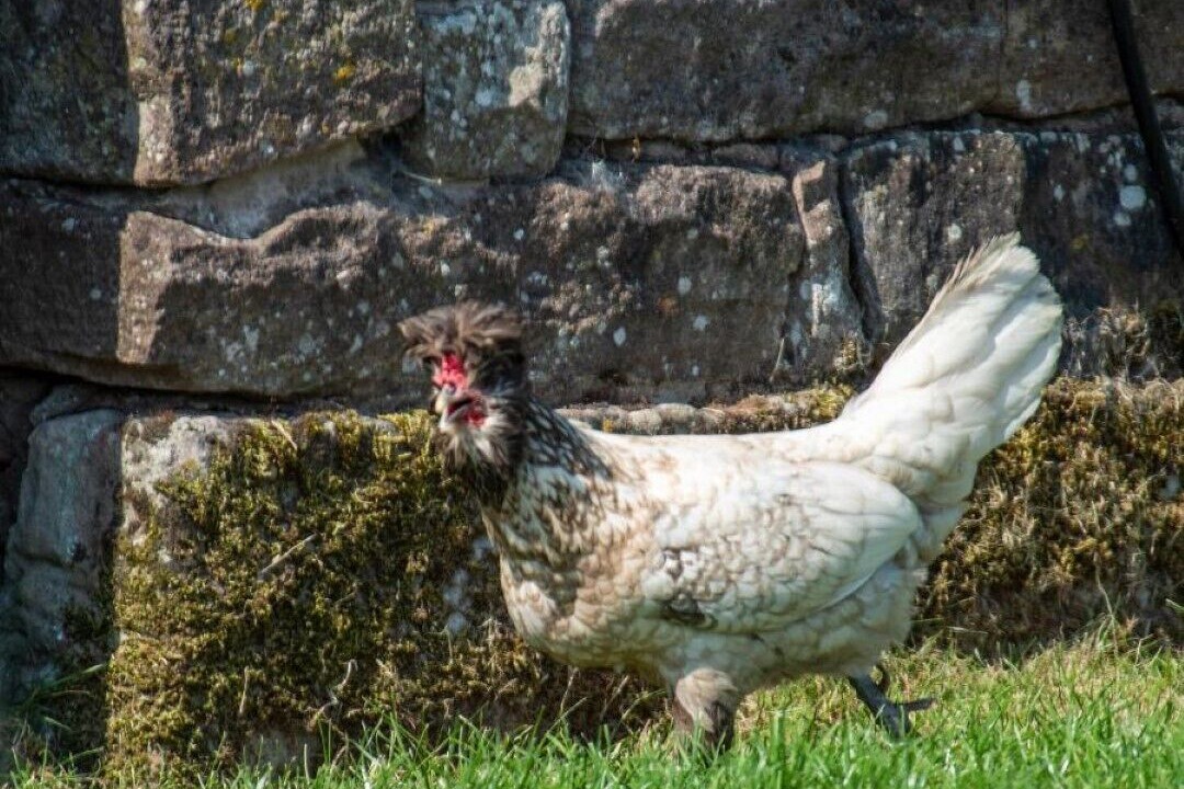 Photo of Others in Welton