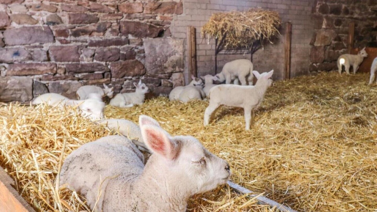 Photo of Others in Welton