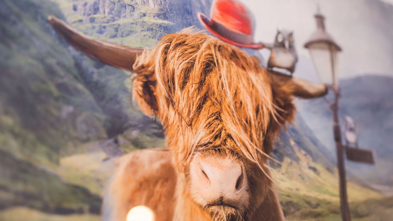 Photo of Bathroom in South Laggan