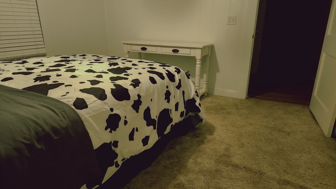 Photo of Bedroom in Weatherford