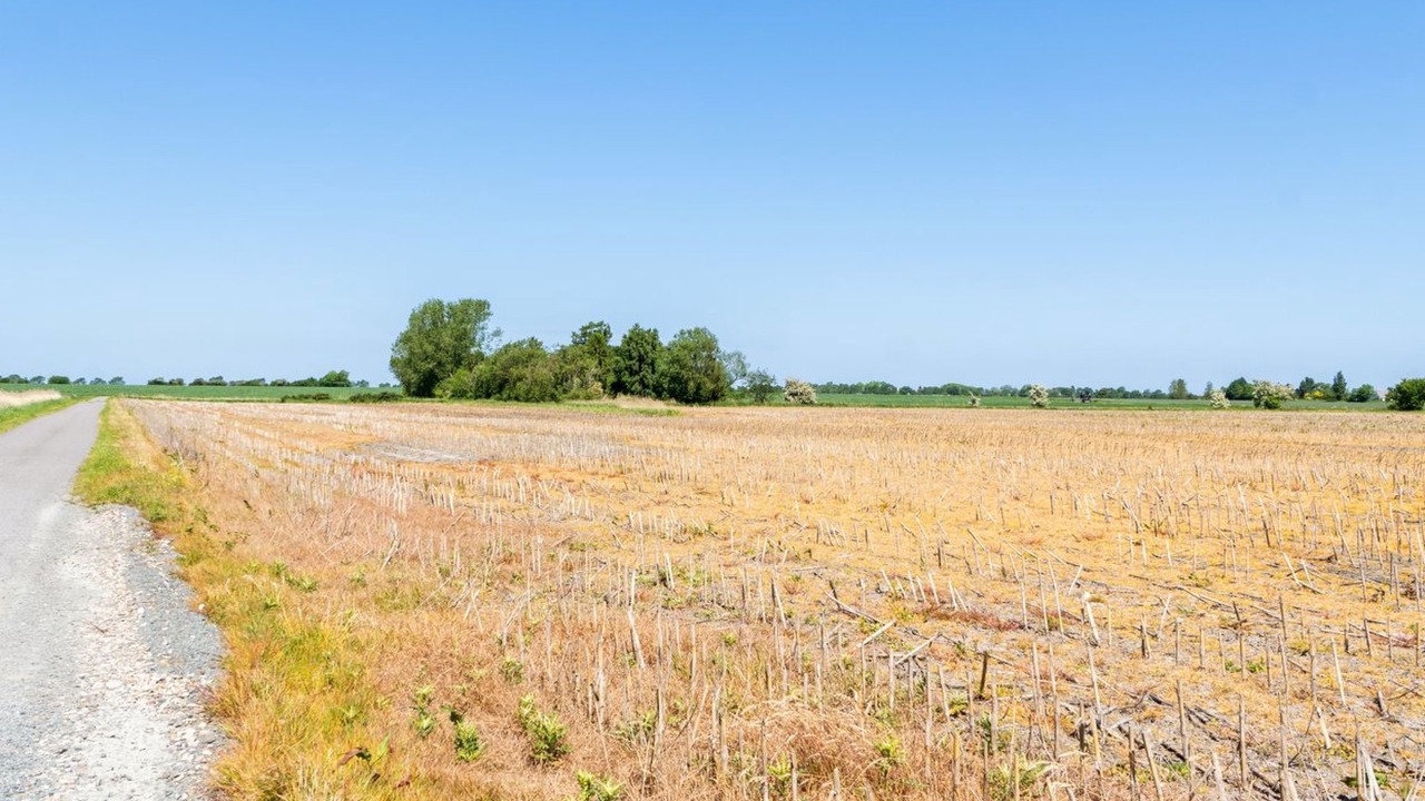 Photo of Outdoor in Nordfyns Kommune