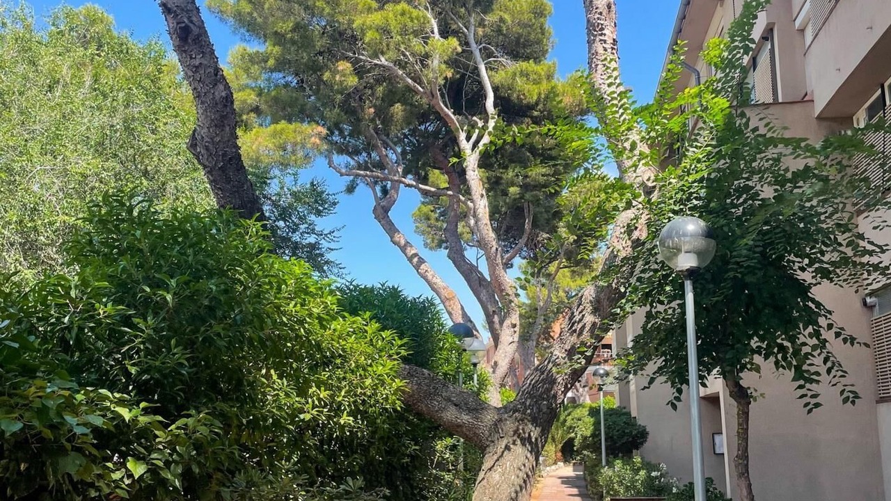 Photo of Outdoor in Vilanova I la Geltru