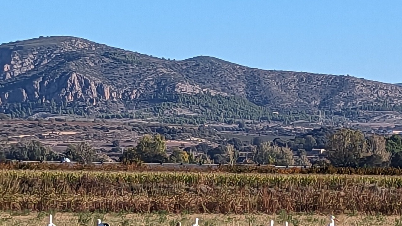 Photo of Outdoor in Os de Balaguer