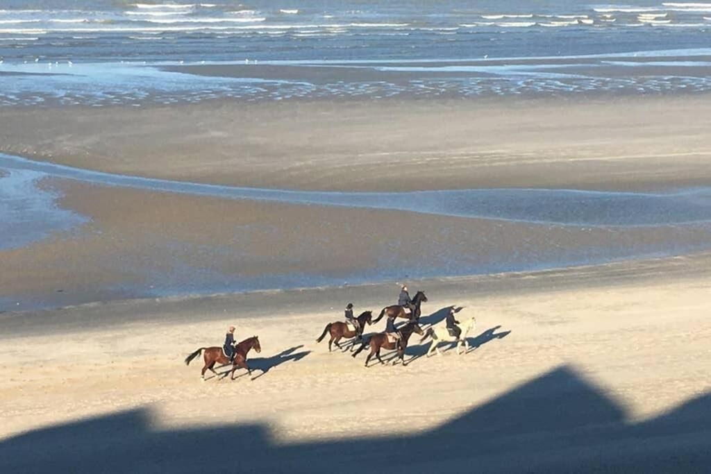 Photo of Others in Bray-Dunes