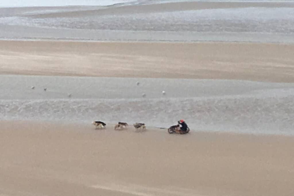 Photo of Others in Bray-Dunes