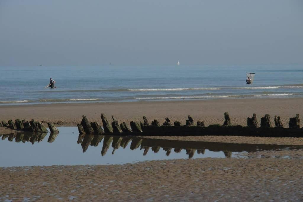 Photo of Others in Bray-Dunes