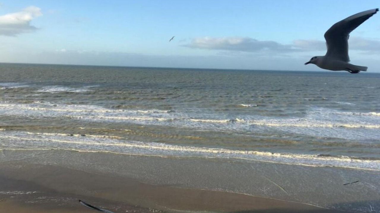 Photo of Others in Bray-Dunes