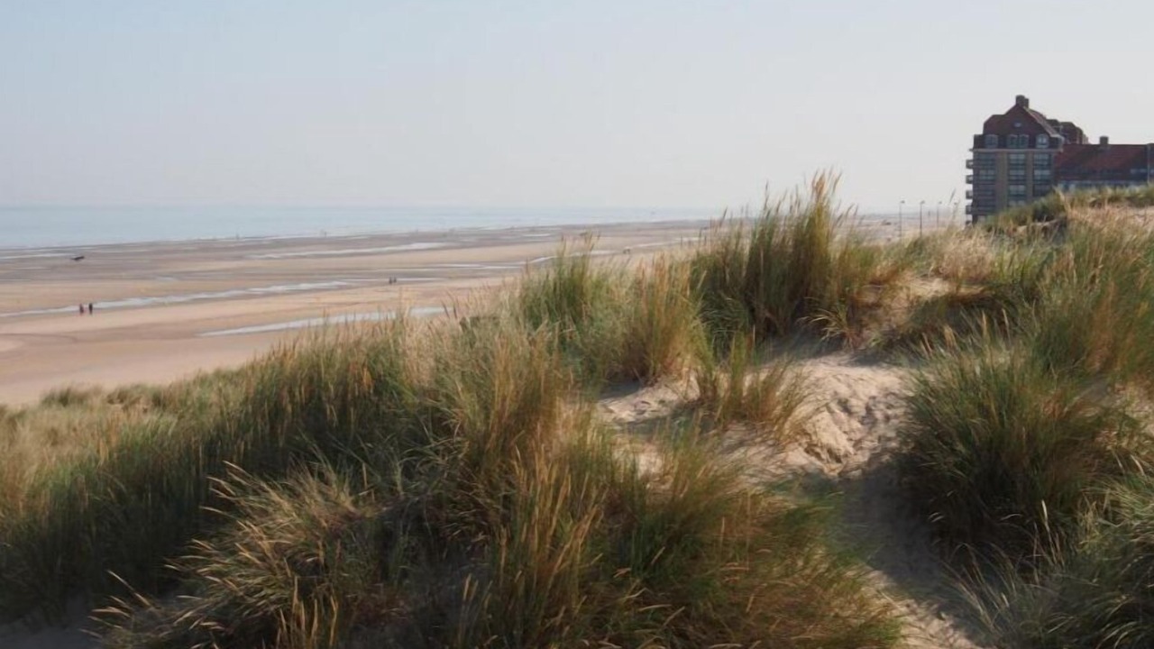 Photo of Others in Bray-Dunes