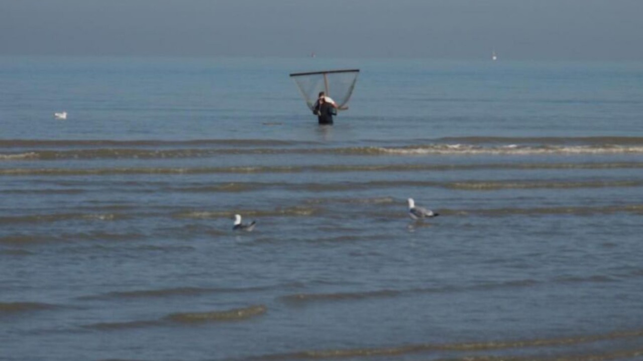 Photo of Outdoor in Bray-Dunes