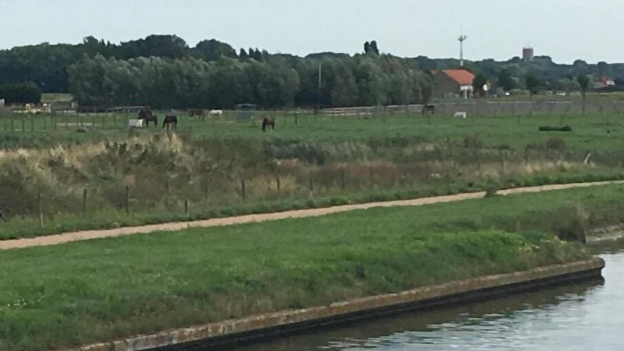 Photo of Others in Bray-Dunes