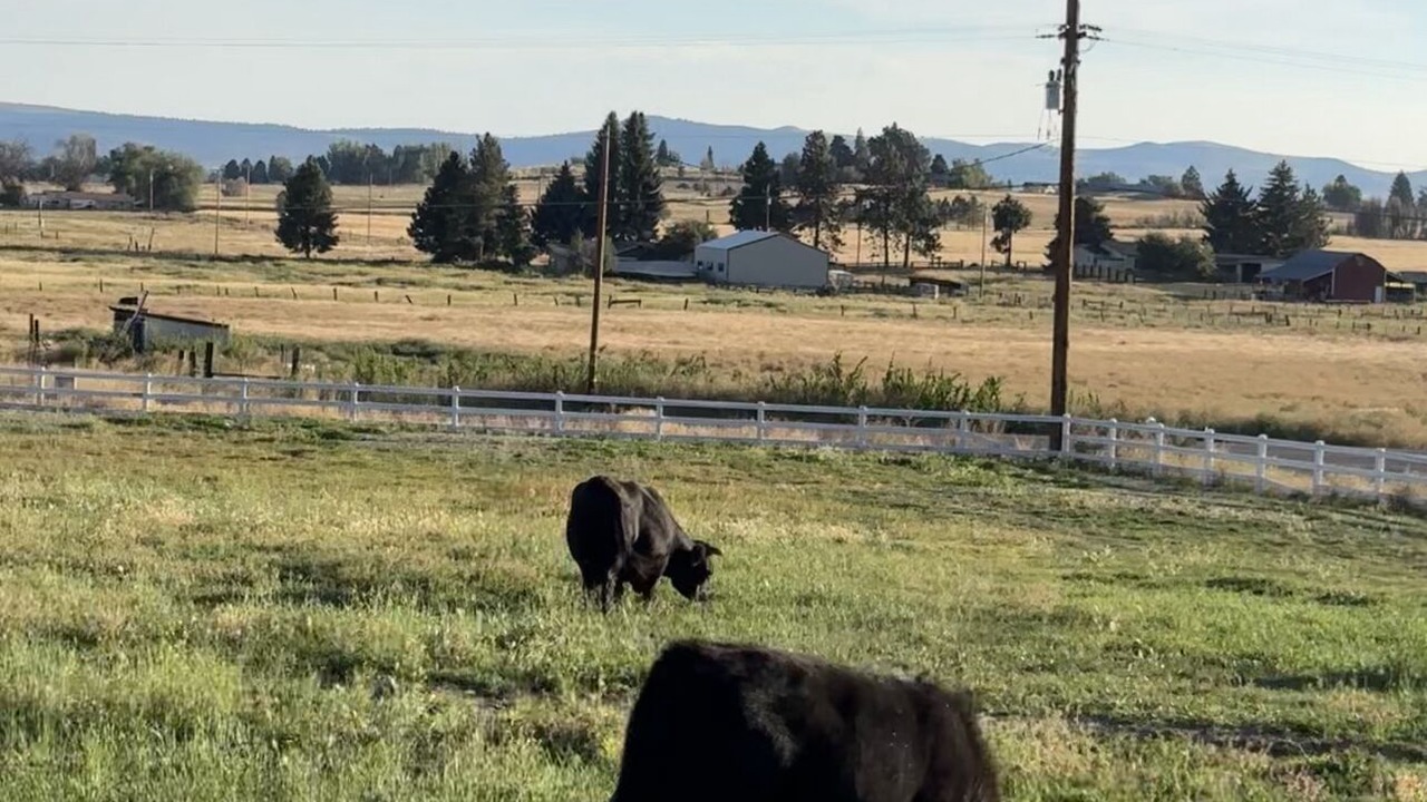Photo of Outdoor in Dairy