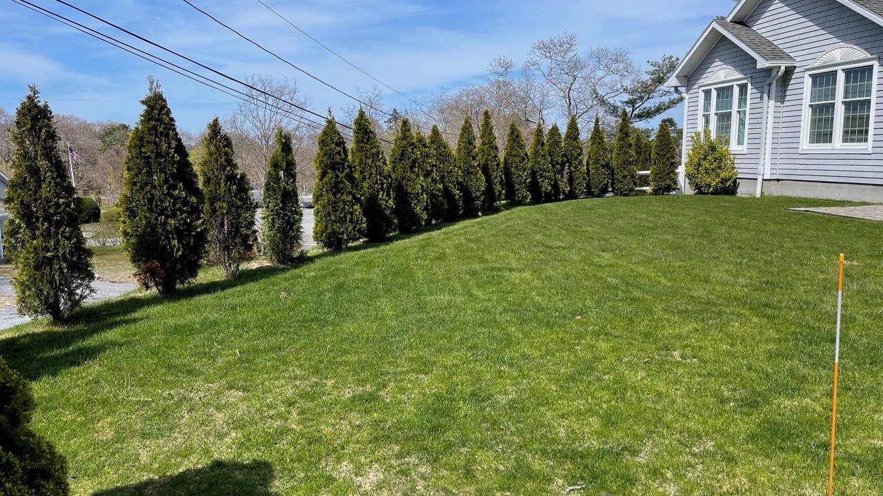 Photo of Outdoor in Sagamore