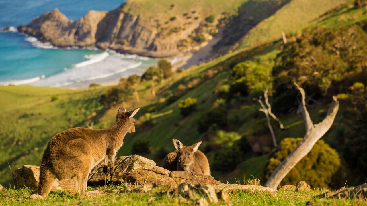 Photo of Others in Deep Creek