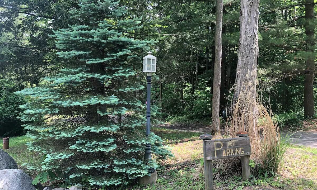 Photo of Others in Etna