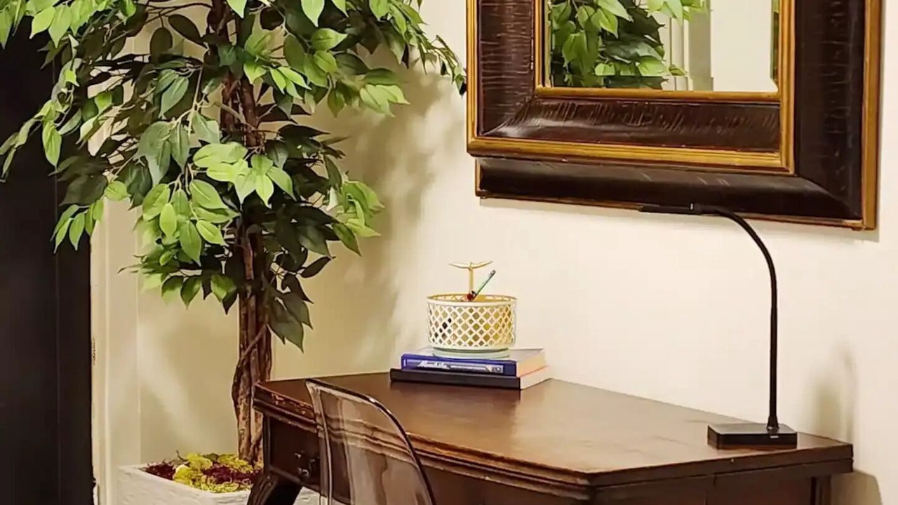 Photo of Others in West Orange