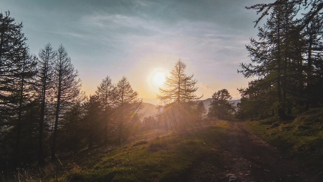 Photo of Others in La Bollene-Vesubie