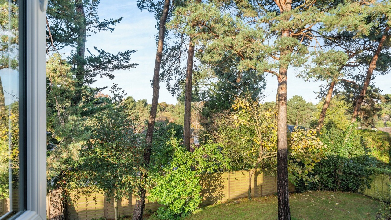 Photo of Others in Ferndown